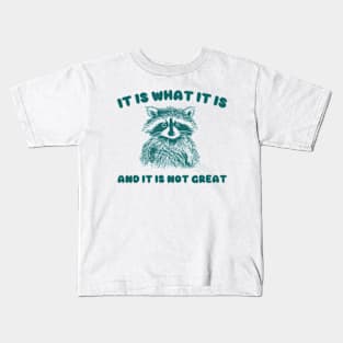 It Is what it is and it is not great, Cartoon Meme Top, Vintage Cartoon Sweater, Unisex Kids T-Shirt